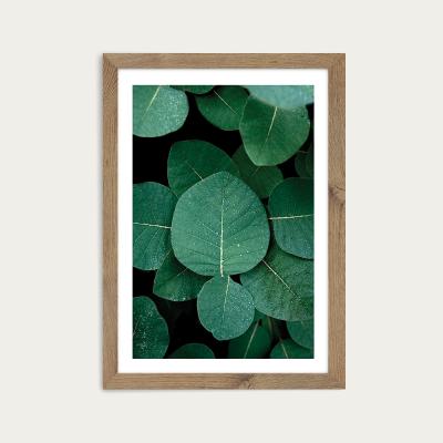 Bombinate.com No Leaves No Life Art Print Oak Frame