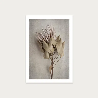 Bombinate.com Everlasting 1 Art Print Unframed