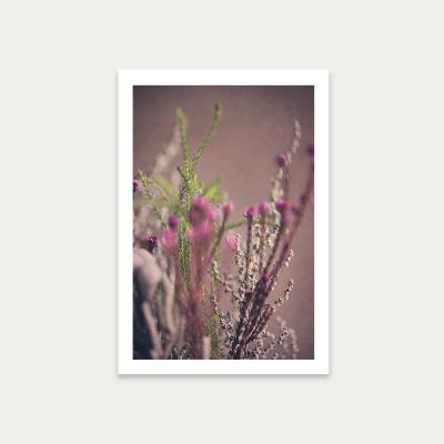 Bombinate.com Warm Fynbos 6 Art Print Unframed