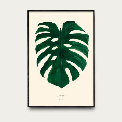 Bombinate.com Monstera Deliciosa