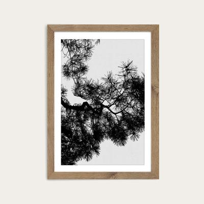 Bombinate.com Pine Tree Black & White Art Print Oak Frame