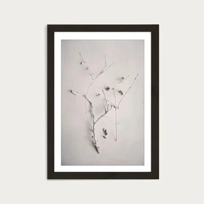 Bombinate.com Alabaster Forest 1 Art Print Black Frame