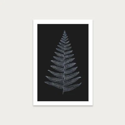 Bombinate.com Botanica Minimalistica Art Print Unframed