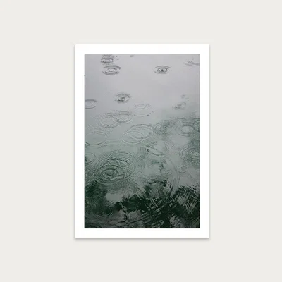 Bombinate.com Raindrops Under the Tree Art Print Unframed