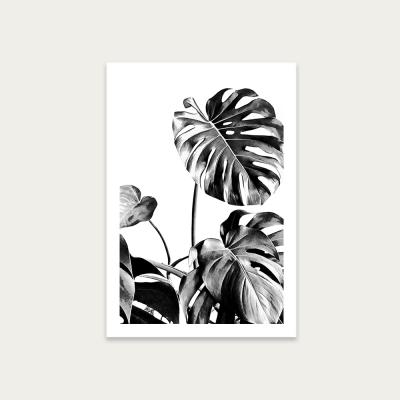Bombinate.com Monstera Black and White 7 Art Print Unframed