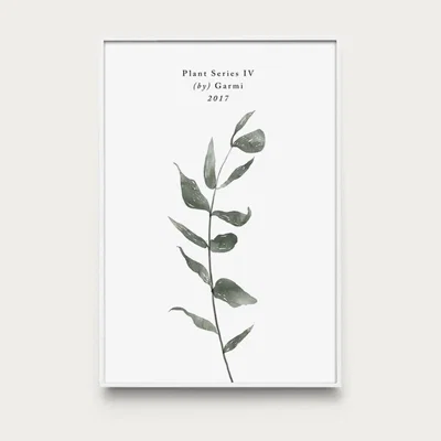 Bombinate.com Eucalyptus