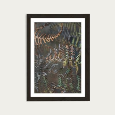 Bombinate.com Earthy Ferns 2 Art Print Black Frame