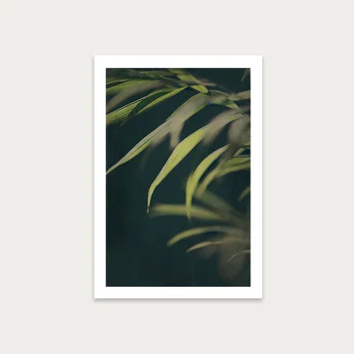 Bombinate.com Dark Foliage 2 Art Print Unframed