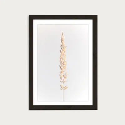 Bombinate.com Minimal Pampas Grass on White Art Print Black Frame