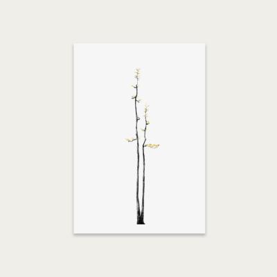 Bombinate.com Bonsai Tree 2 Art Print Unframed