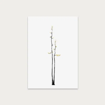 Bombinate.com Bonsai Tree 2 Art Print Unframed