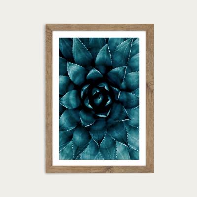 Bombinate.com Cactus No 9 Art Print Oak Frame