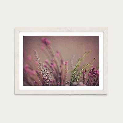 Bombinate.com Warm Fynbos 4 Art Print White Frame