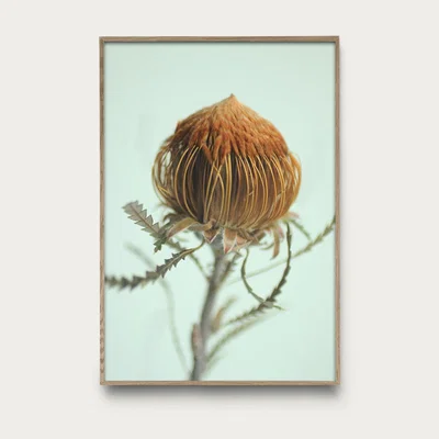 Bombinate.com Flower 4