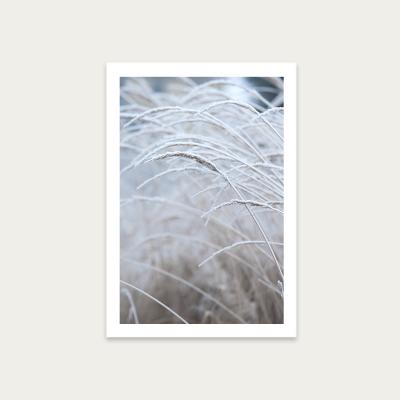 Bombinate.com White and Calm Art Print Unframed