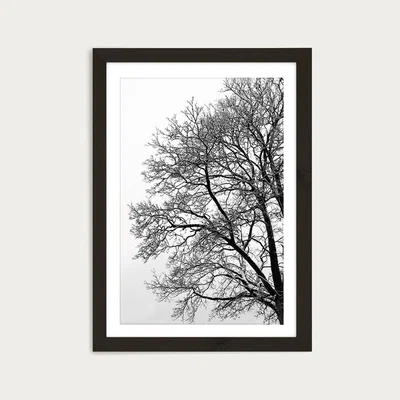 Bombinate.com Black & White Abstract Winter Tree Art Print Black Frame