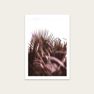 Bombinate.com Moving Palms Art Print Unframed