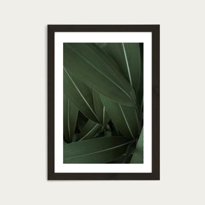 Bombinate.com Minimal Plants Art Print Black Frame