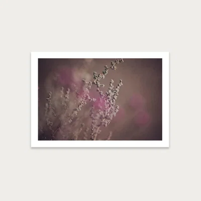 Bombinate.com Warm Fynbos 3 Art Print Unframed