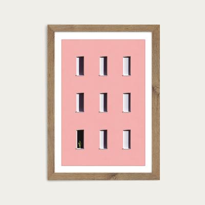 Bombinate.com Sunbathing Cactus Art Print Oak Frame
