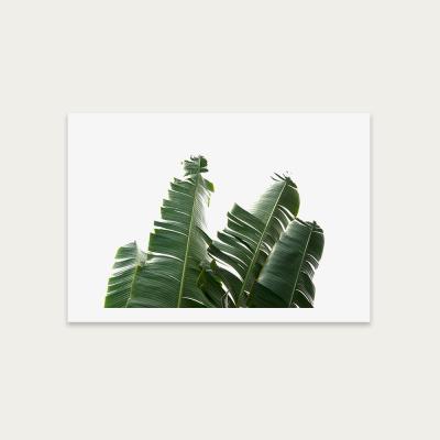 Bombinate.com Banana Leaves 1 Art Print Unframed