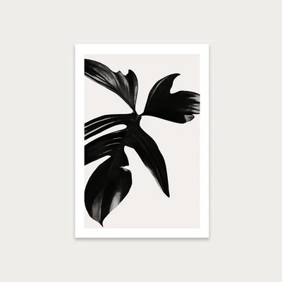 Bombinate.com Black Leaf No.5 Art Print Unframed