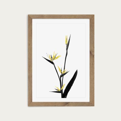 Bombinate.com Flower Minimal Black and Gold 5 Art Print Oak Frame
