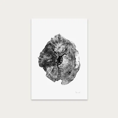 Bombinate.com Big Oak England Art Print Unframed