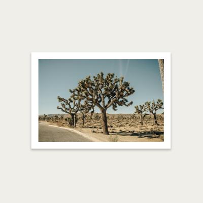 Bombinate.com Mojave Art Print Unframed
