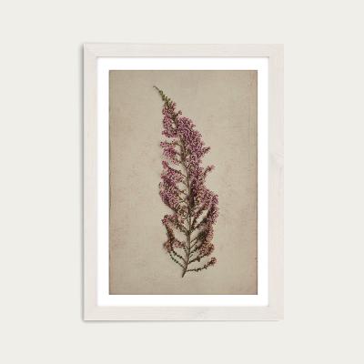 Bombinate.com Fynbos 3 Art Print White Frame