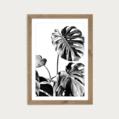 Bombinate.com Monstera Black and White 7 Art Print Oak Frame