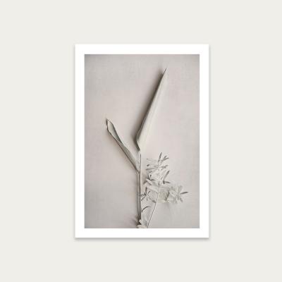 Bombinate.com Alabaster Forest 3 Art Print Unframed