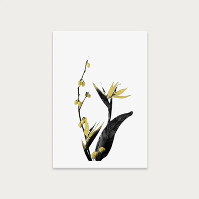 Bombinate.com Flower Minimal Black and Gold 2 Art Print Unframed