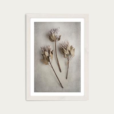 Bombinate.com Everlasting 4 Art Print White Frame