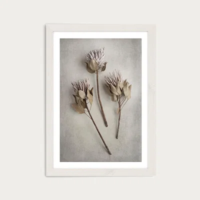 Bombinate.com Everlasting 4 Art Print White Frame