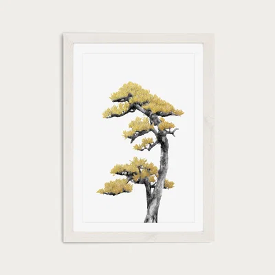 Bombinate.com Bonsai Tree 4 Art Print White Frame