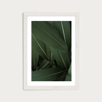 Bombinate.com Minimal Plants Art Print White Frame