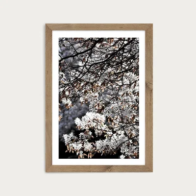 Bombinate.com White Japan Spring Blossoms Art Print Oak Frame