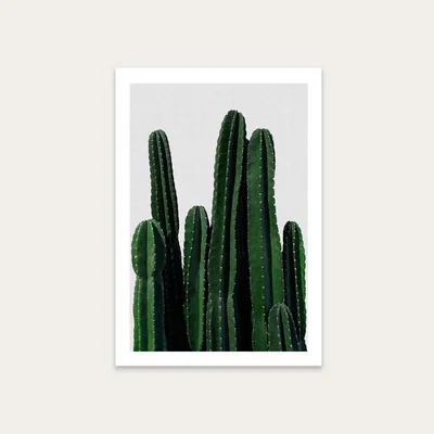 Bombinate.com Cactus Art Print Unframed
