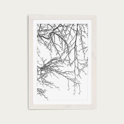 Bombinate.com Snowy Days Art Print White Frame