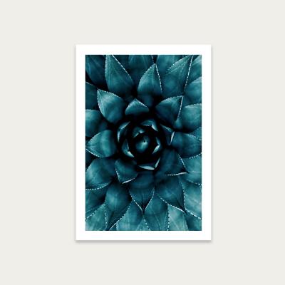 Bombinate.com Cactus No 9 Art Print Unframed