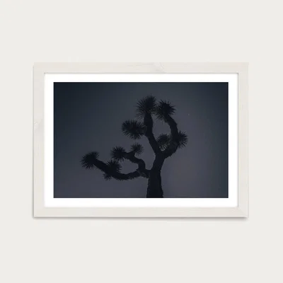 Bombinate.com Joshua Art Print White Frame
