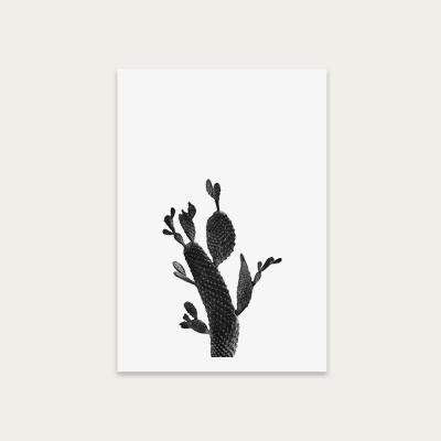 Bombinate.com Cactus Black and White 2 Art Print Unframed