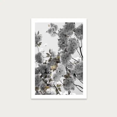 Bombinate.com White Spring Blossoms Art Print Unframed