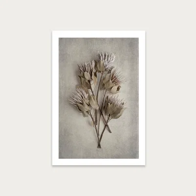 Bombinate.com Everlasting 3 Art Print Unframed