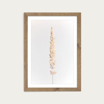 Bombinate.com Minimal Pampas Grass on White Art Print Oak Frame