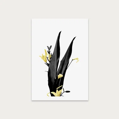 Bombinate.com Flower Minimal Black and Gold 3 Art Print Unframed