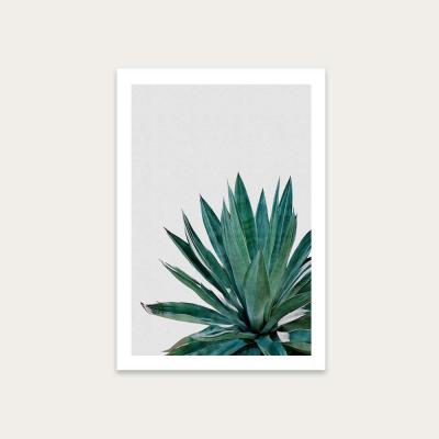 Bombinate.com Agave Cactus Art Print Unframed