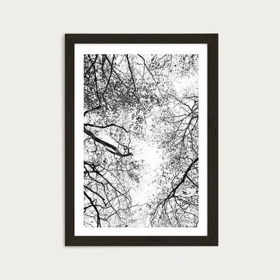 Bombinate.com Reaching into The Sky Art Print Black Frame