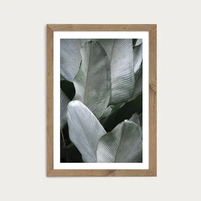 Bombinate.com Tropical Silver Leaves Art Print Oak Frame